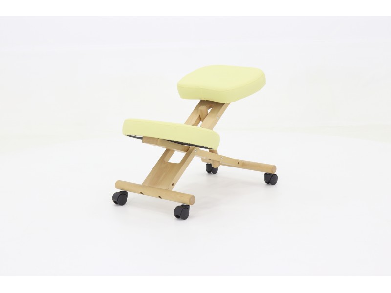 Стул медицинский на колесиках Med-Mos МА-04 татами ХIV-ДЛ