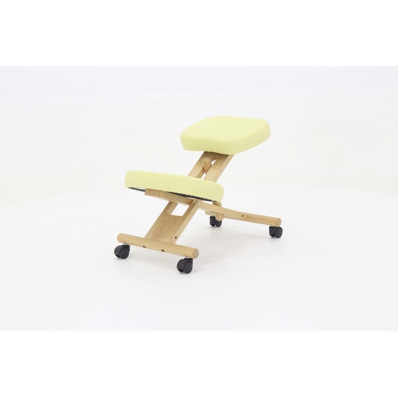 Стул медицинский на колесиках Med-Mos МА-04 татами ХIV-ДЛ