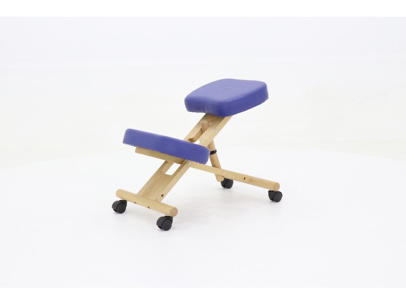 Стул медицинский на колесиках Med-Mos МА-04 татами ХIV-ДЛ