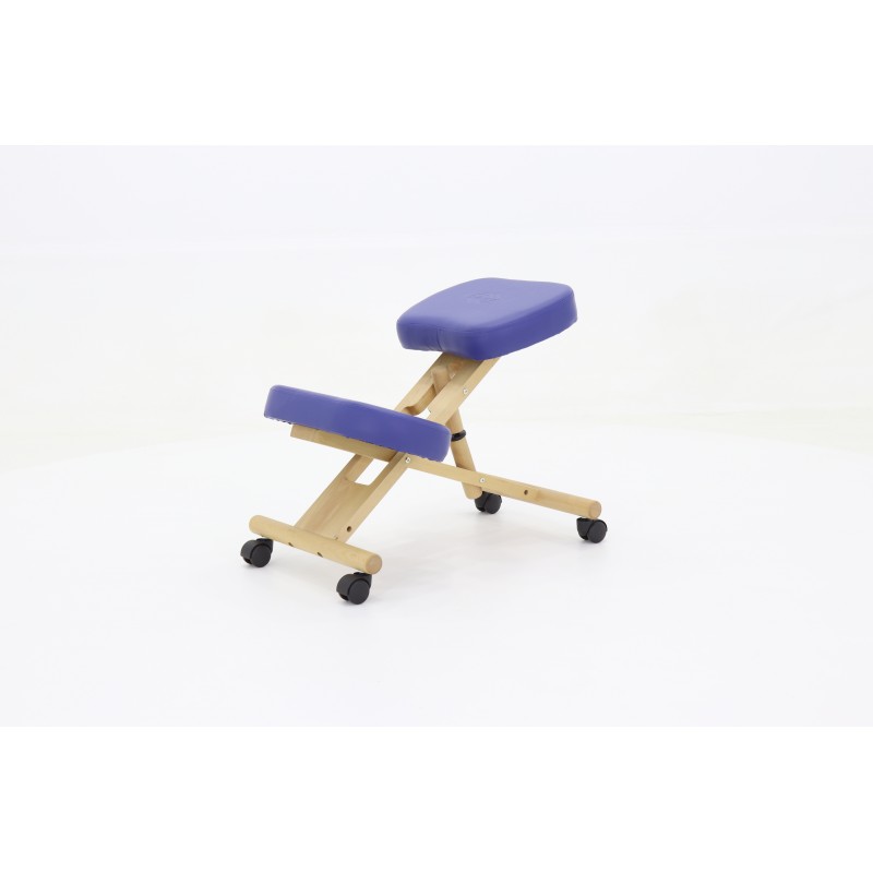 Стул медицинский на колесиках Med-Mos МА-04 татами ХIV-ДЛ